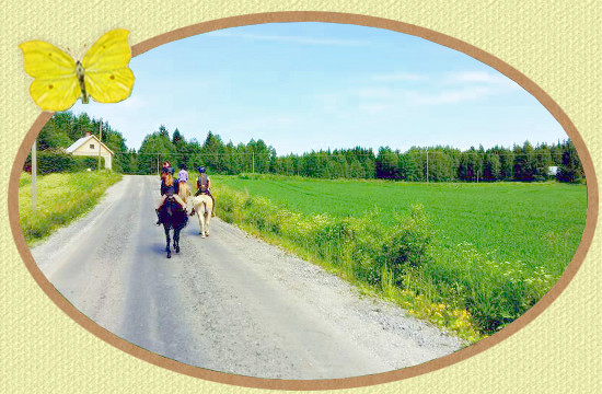 Mikkolan Ratsastuskoulu järjestää ratsastustunteja ja ratsastusleirejä Vilppulassa.