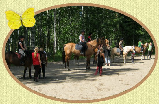 Mikkolan Ratsastuskoulu järjestää ratsastustunteja ja ratsastusleirejä Vilppulassa.